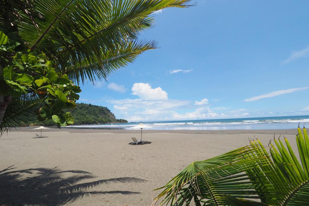 Luxury Terrace, Beach Access - M10 Jaco Luaran gambar