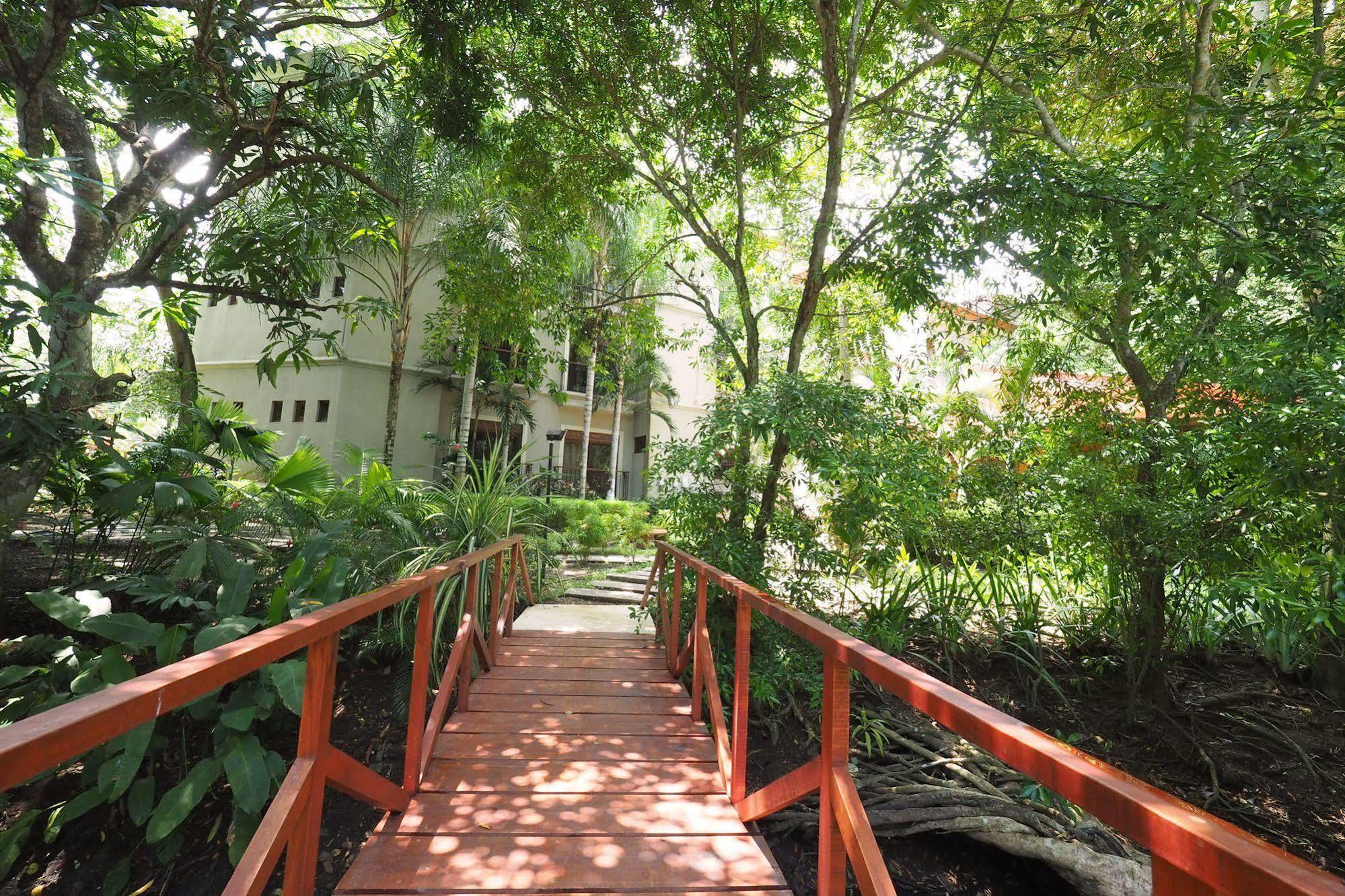 Luxury Terrace, Beach Access - M10 Jaco Luaran gambar